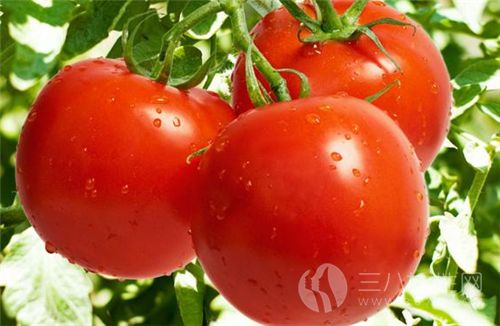 西紅柿怎麼做好吃