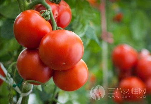 西红柿可以生吃吗