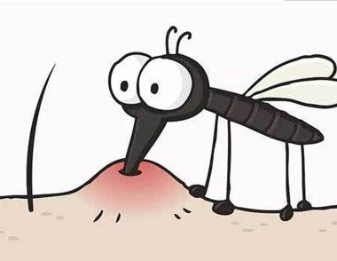 夏季蚊子咬人为什么会痒 夏季被蚊子怎样止痒