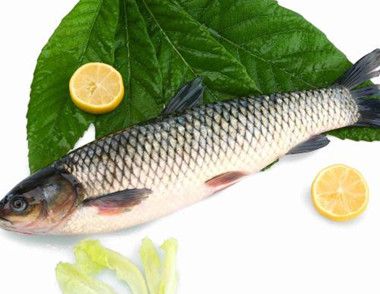 草鱼和哪些食物一起吃最营养 ​常食用草鱼有哪些好处