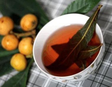 枇杷叶煮水能止咳是真的吗 枇杷叶煮水的方法是怎样的
