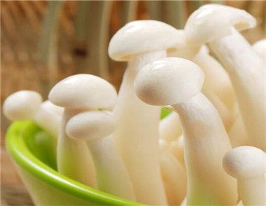 海鲜菇怎么做好吃 炒海鲜菇要焯水吗