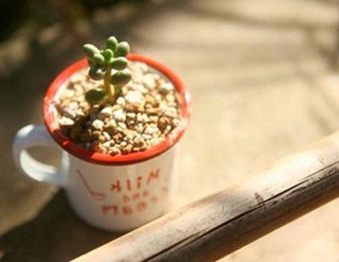 怎样避免抑郁症的发生