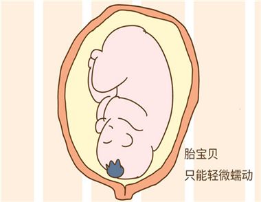 胎动一般是什么时候开始 胎动多少次是正常的
