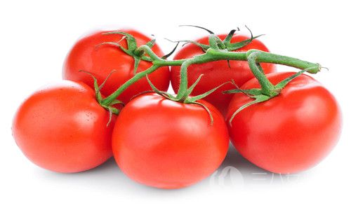 番茄可以減肥的原理是什麼.jpg
