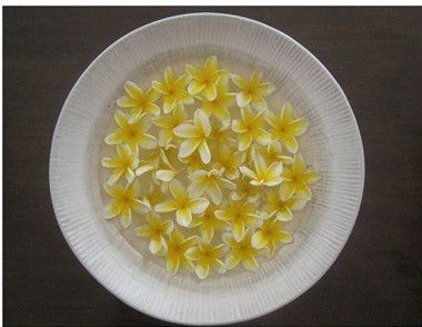 喝鸡蛋花茶有哪些功效 哪些人不宜喝鸡蛋花茶