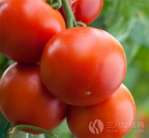 西红柿生吃好还是熟吃好 西红柿的做法有哪些1··.jpg