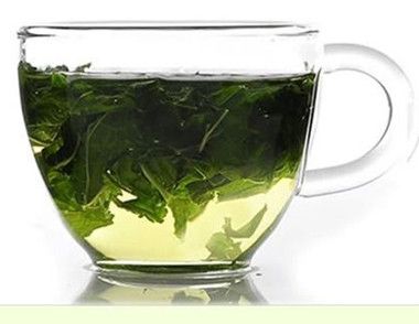 喝桑叶茶有哪些好处 桑叶茶的禁忌有哪些