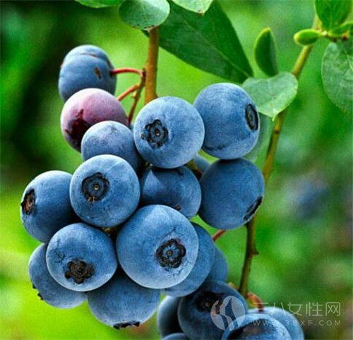 蓝莓怎么洗才干净 蓝莓可以怎么吃1·.jpg