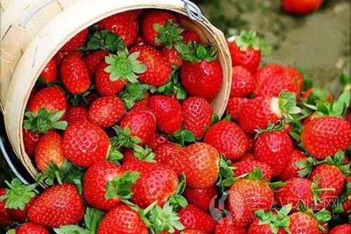常吃草莓有哪些好处
