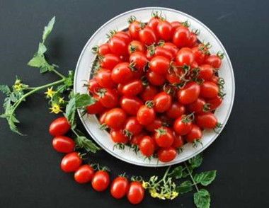 吃圣女果有哪些好处 圣女果不能和哪些食物一起吃