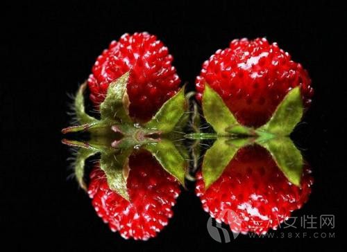蛇莓能吃吗