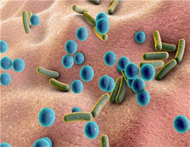 細菌有哪些傳播途徑 細菌對人體有哪些危害