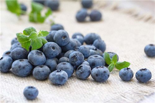蓝莓每天能吃多少