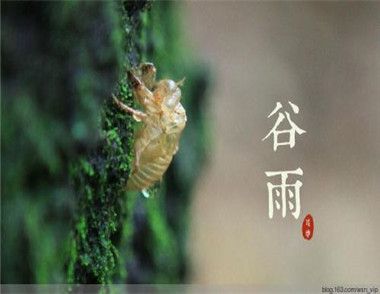 2018年谷雨是什么时候 2018年谷雨节气下雨吗
