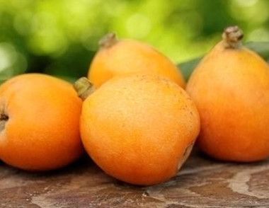 枇杷的果皮可以吃吗 枇杷的果皮有哪些营养价值