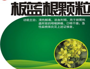 板蓝根有什么副作用 板蓝根吃多了会怎么样
