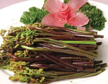 蕨菜怎樣吃不致癌 蕨菜不能和什麼一起吃