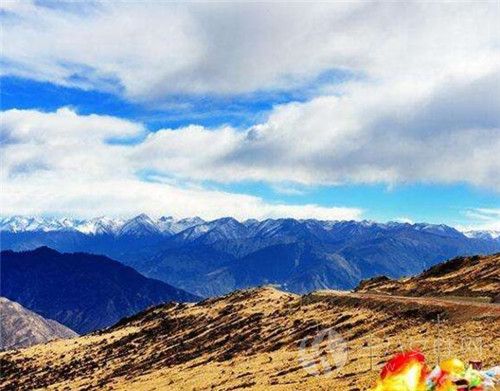 去西藏旅游有高原反应怎么办··.jpg