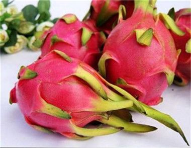 夏天吃火龙果有什么好处 火龙果的功效有哪些