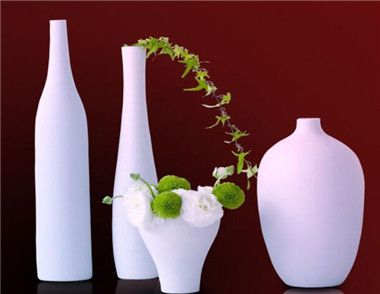 花瓶的摆放位置有什么风水禁忌 花瓶在不同位置的风水作用