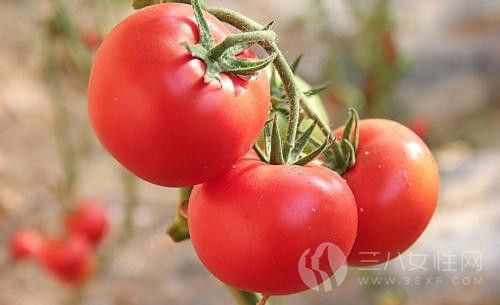 夏天吃西红柿好吗 夏天吃西红柿可以防晒吗1.jpg