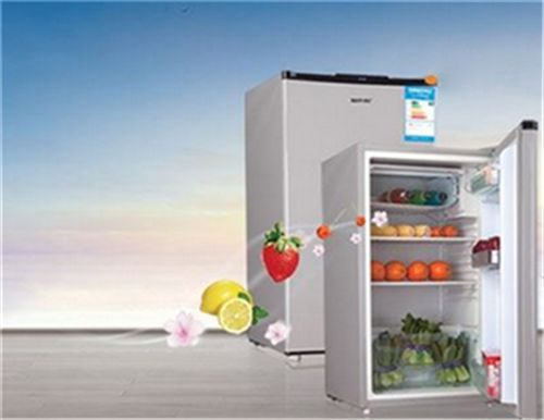 單門冰箱有什麼好處 單門冰箱有什麼缺點