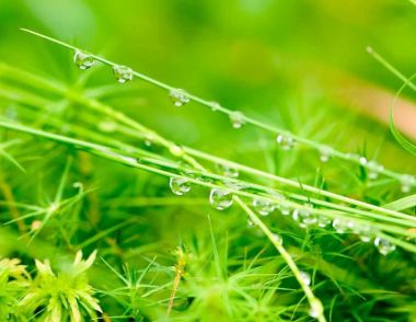 2018谷雨会不会下雨 谷雨是什么时候