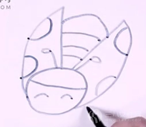 漂亮的金龟子的画法教学步骤