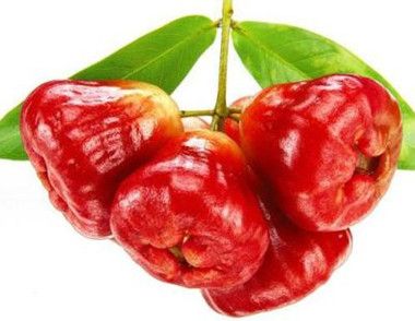 莲雾不能和哪些食物一起吃 哪些人不宜吃莲雾