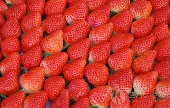 怎么吃草莓最健康12324.jpg