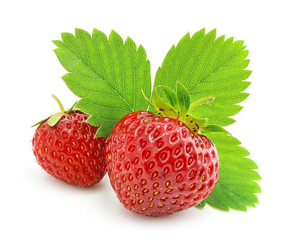 草莓2345.jpg