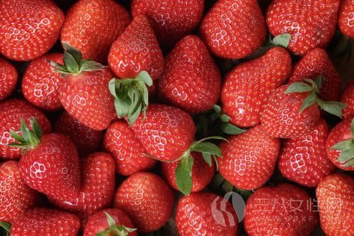 最脏蔬果草莓是什么情况 草莓该怎么清洗.jpg