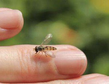 被蜜蜂蜇伤有什么表现 被蜜蜂蜇伤怎么办