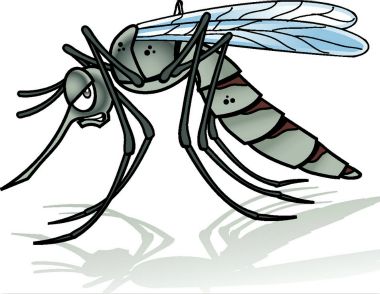 蚊子喜歡叮咬什麼樣的人 如何防止蚊子叮咬