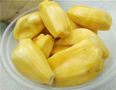 孕婦可以吃菠蘿蜜嗎 孕婦吃菠蘿蜜的好處有哪些