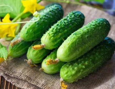 四種適合夏季食用的瓜類蔬菜 大家做好吃瓜的準備了嗎