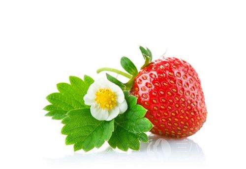草莓.png