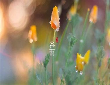 2018谷雨前后气温大概多少度 谷雨节气怎么由来