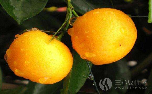 什么人不能吃金橘什么人不能吃金橘3432.jpg