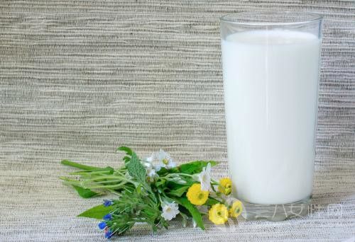 如何选择适合自己的牛奶