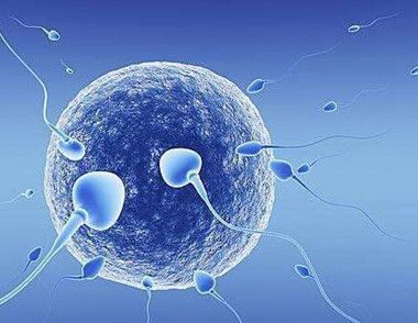 精子成活率低的原因有哪些 怎樣提高精子質量