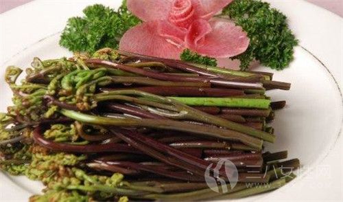 家常小炒蕨菜是怎么做的 蕨菜好吃的做法有哪些.jpg