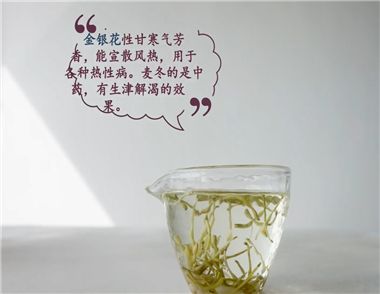 金银花麦冬茶怎么泡 喝金银花麦冬茶有什么好处