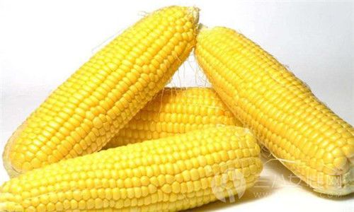 玉米减肥的原理是什么.jpg