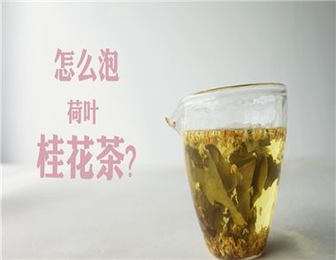 荷葉桂花茶的製作簡單嗎 荷葉桂花茶的製作方法