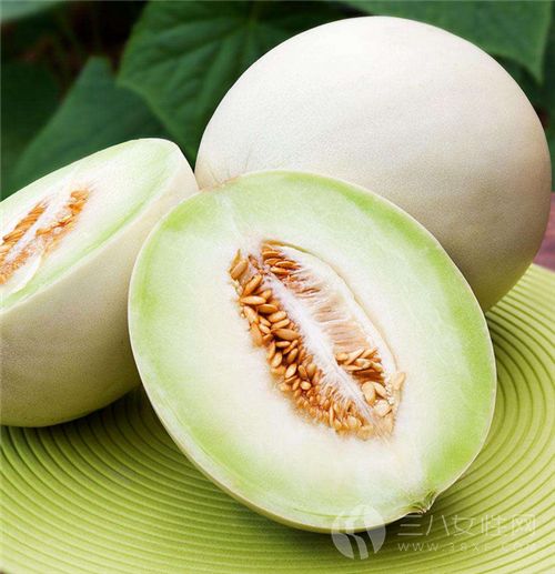 孕婦能吃白蘭瓜嗎.png