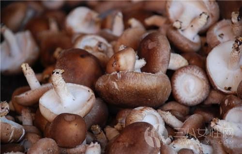 新鲜香菇怎么保存