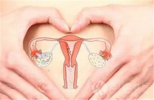 女性怎么保养卵巢