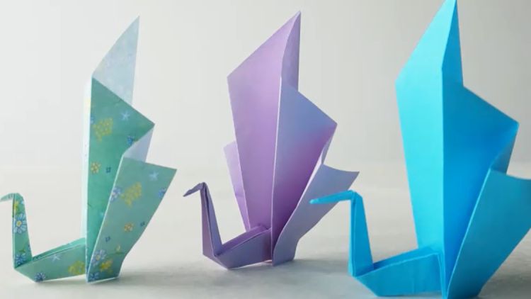 孔雀折紙 孔雀的折紙步驟